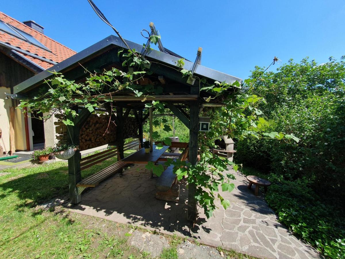 Das Gruene Haus Am Hexenstieg Rubeland Eksteriør bilde