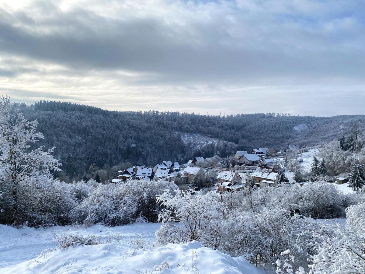 Das Gruene Haus Am Hexenstieg Rubeland Eksteriør bilde