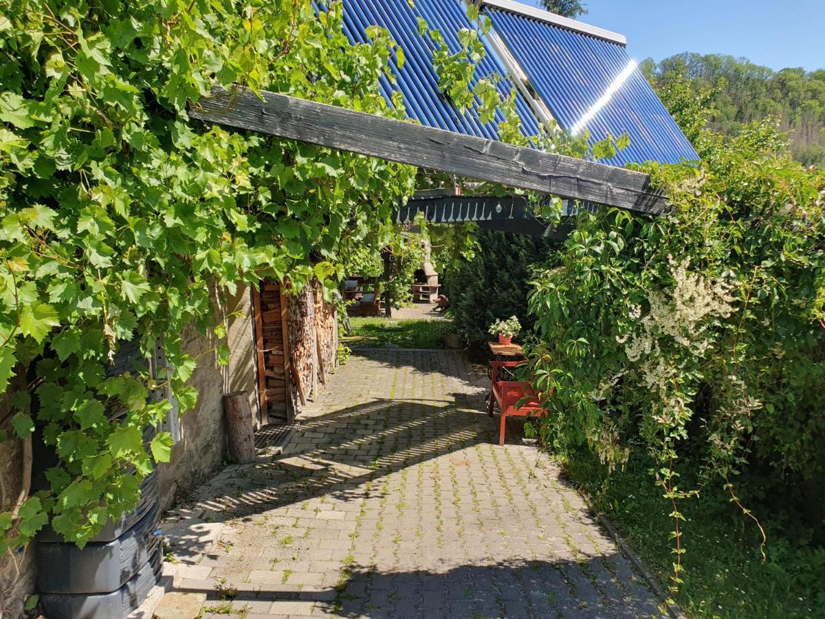 Das Gruene Haus Am Hexenstieg Rubeland Eksteriør bilde