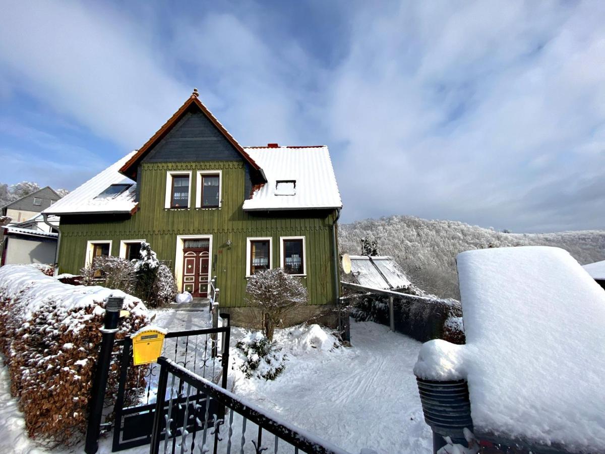 Das Gruene Haus Am Hexenstieg Rubeland Eksteriør bilde